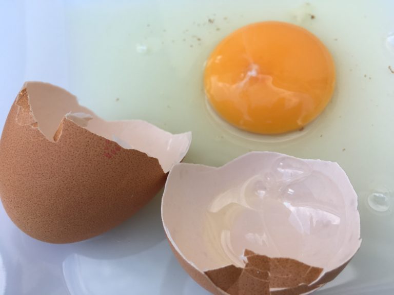 Belgium elismerte: már júniusban tudott a szennyezett tojásokról