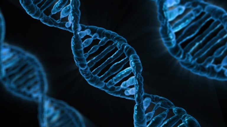 DNS-sel is feltörhető a számítógép