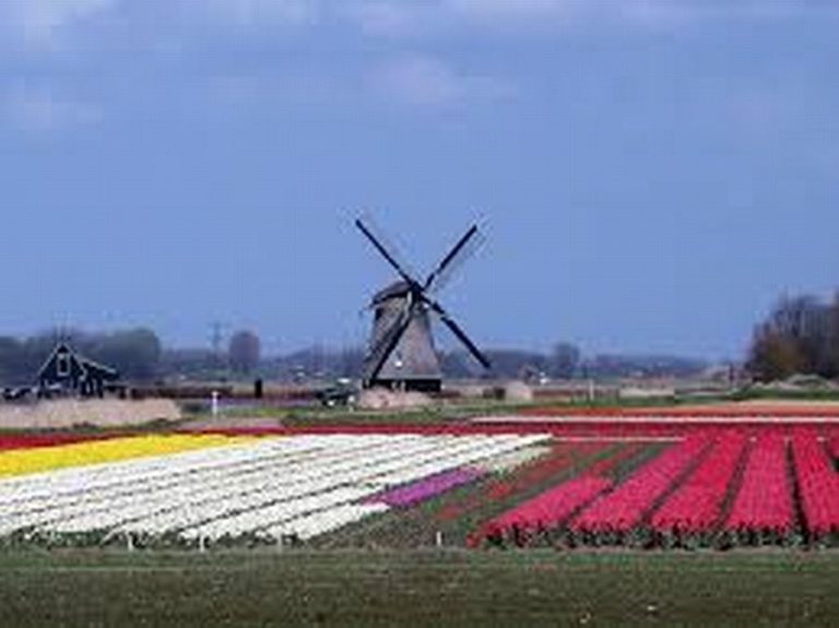 Hollandia – országismertető