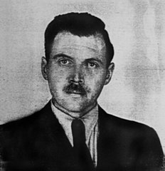 Megnyitották a Moszad Mengele-aktáját Izraelben