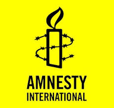 Az Amnesty a kormánnyal való konzultálásra hív fel