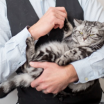 Bréking nyúz, április 20. – Tudósítás a másik valóságból