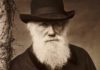 Darwin