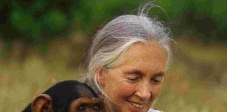 Jane Goodall