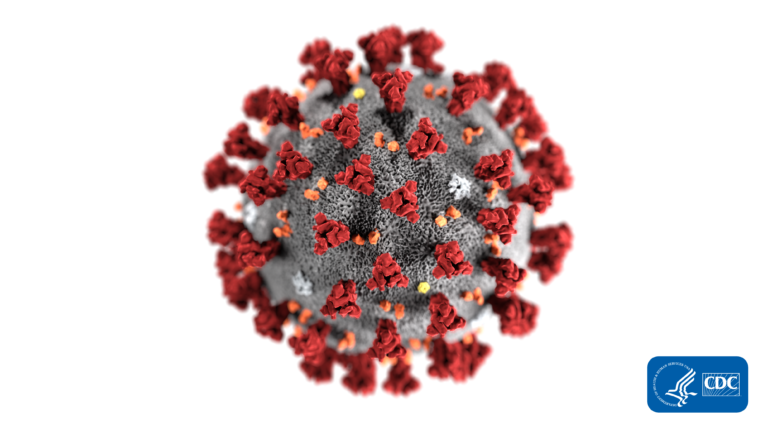Koronavírus: újabb fertőzöttek és egy elhunyt vírusfertőzött