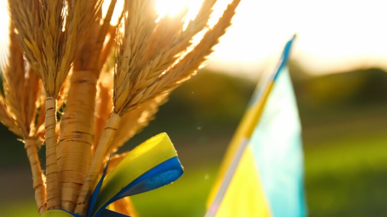 Európai segély öt, az ukrán gabonabeáramlás által érintett tagállamnak