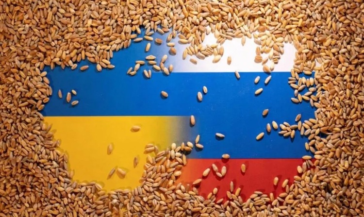 Lopják az oroszok az ukrán gabonát