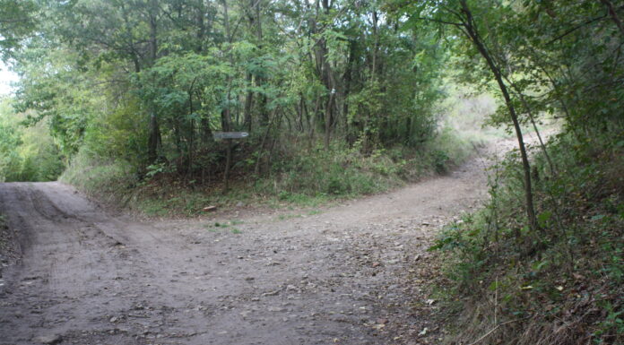 Fájdalom az álarc mögött