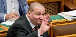 Wass Albert: A patkányok honfoglalása