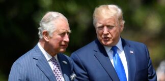 Orbán a semmi ágán