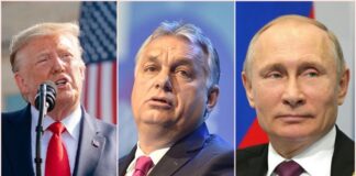 A KGB-s meg a szatócs