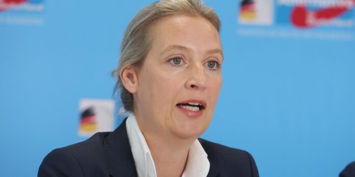 alice-weidel