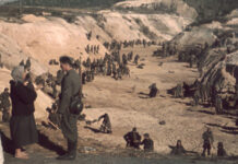 Zsidó szovjet autonóm köztársaság a Krímben?