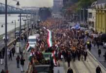 Orbán és November 4.