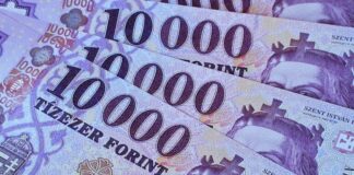 1000 eurót keres havonta egy átlagos magyar, meg lehet ebből élni?