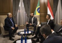 Politikai guberáló