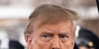 Trump cinkelt kártyákkal játszik , de van benne rendszer