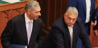 Fagylalt különlegességeink