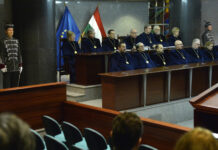 Hatalmi ág leágazása