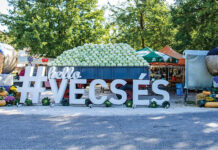 Ötszázhetvenegy vecsési forint