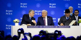 Trumpra várva: kirúgtak egy kémkedéssel gyanúsított kínait a Mátyás Király Kollégiumból – MCC