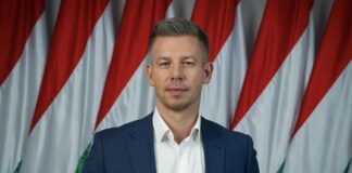 Mai kérdés – Ön szerint Magyar Péter hatalmat vagy demokratikus Magyarországot akar?