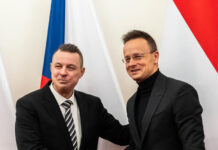 Európa oroszbarát politikusai egyesüljetek!