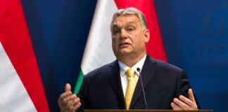 Ötszáznegyvenhat zsákbamacska