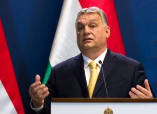 Ötszáznegyvenhat zsákbamacska