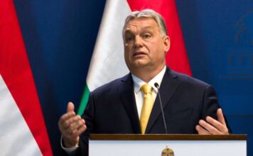 Ötszáznegyvenhat zsákbamacska