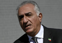 A Globális Cselekvés Napja