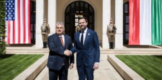 Szegény ember Trumpja