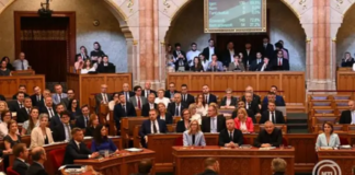 Magyarország megmutatja, hogyan menthetik meg az amerikaiak a demokráciát