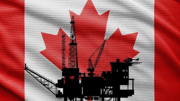 can_oil